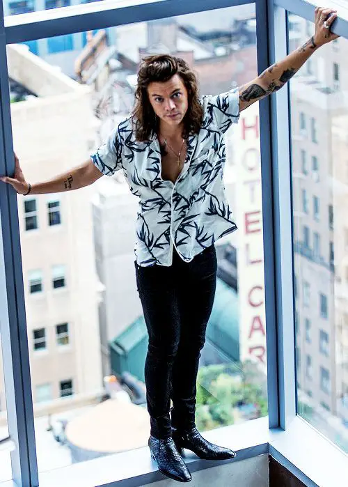 Harry-Styles-camisa-estampa-afastada
