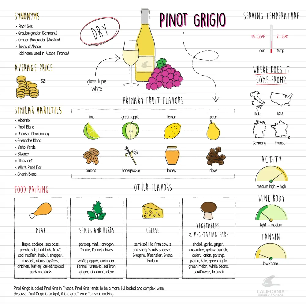 Pinot-Grigio-infografico
