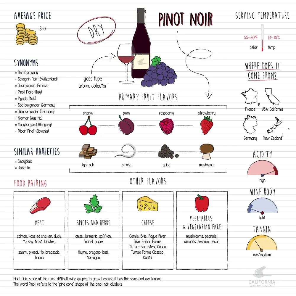 Pinot-Noir-infografico