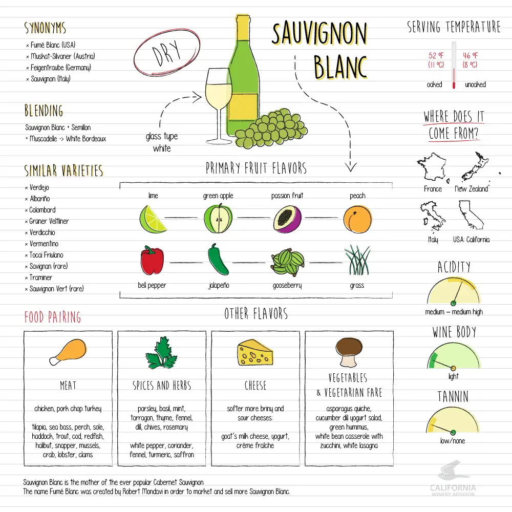 Sauvignon-Blanc-infografico
